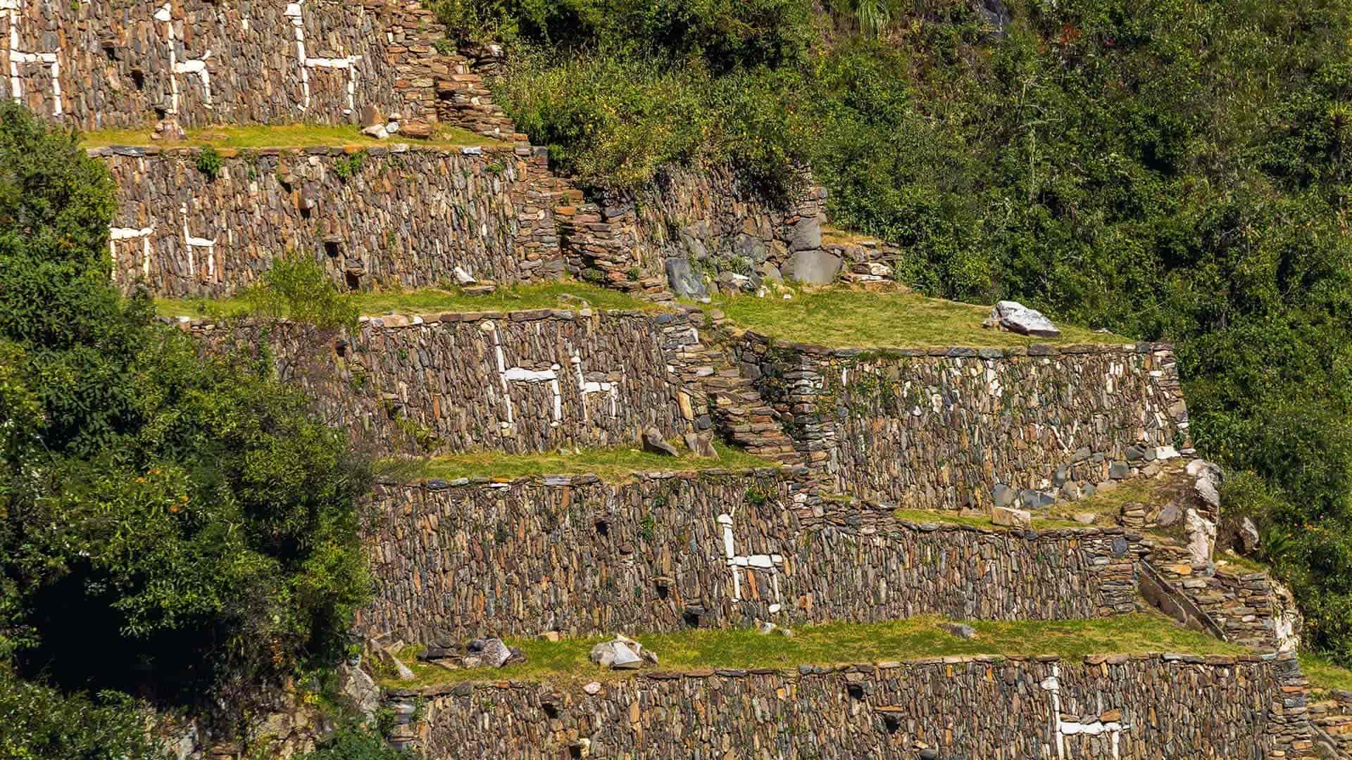 choquequirao llamas