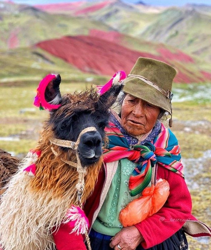 montaña de colores llamas vinicunca